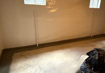 The Real Cost of Ignoring Basement Moisture Problems