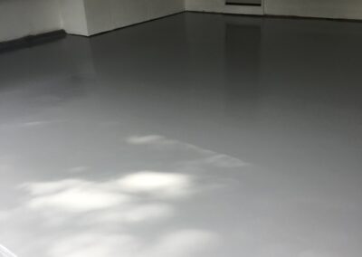 Basement Waterproofing Mold Remediation Water Damage Restoration Sump Pump Installation Crawl Space Encapsulation Basement Remodeling