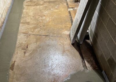 Basement Waterproofing Mold Remediation Water Damage Restoration Sump Pump Installation Crawl Space Encapsulation Basement Remodeling